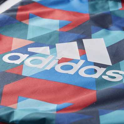 Adidas Triax Gym Bag Training (multicolor)