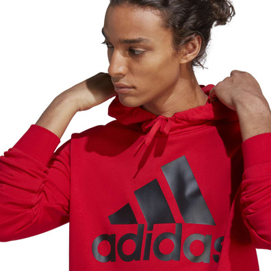 Adidas Big Logo Terry Tracksuit