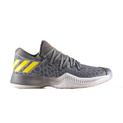 Adidas Harden B/E "Unit"