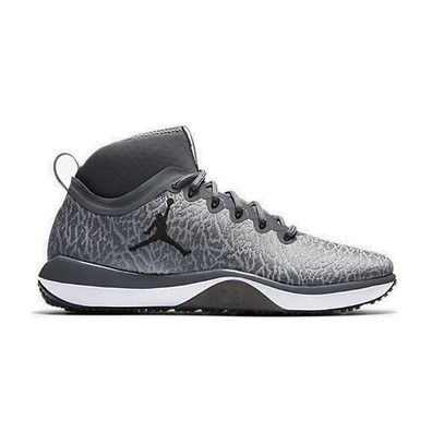 Air Jordan Trainer 1 "Cool Grey" (002/cool grey/black)