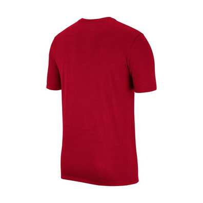 Jordan Jumpman Air Embroidered T-Shirt (687)