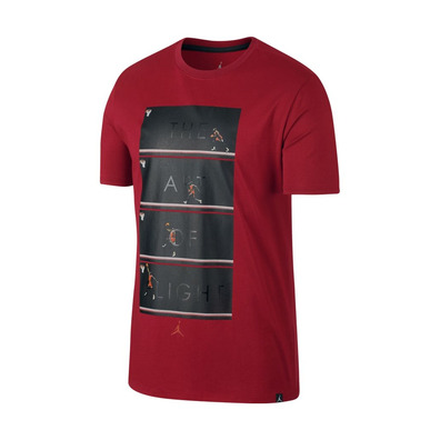 Jordan "The Art of Flight" T-Shirt (687)