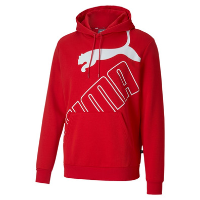 Puma Big Logo Hoodie FL