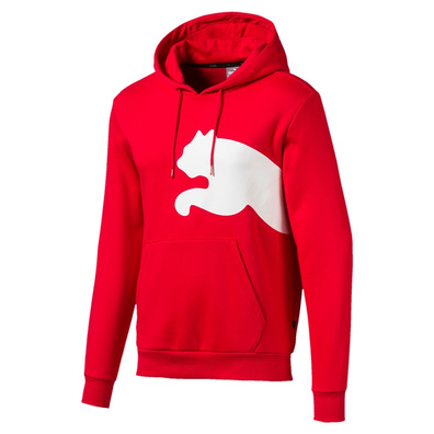 Puma Big Logo Hoody FL