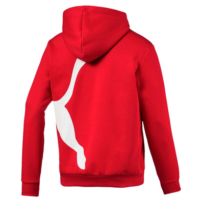 Puma Big Logo Hoody FL