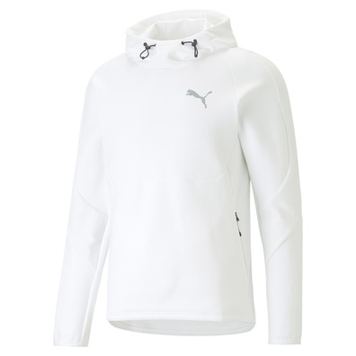 Puma EVOSTRIPE Hoodie DK