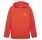 Puma EVOSTRIPE Hoodie DK "Redmazing"