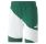 PUMA POWER Cat Shorts 9" TR