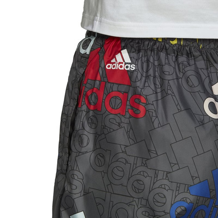 Adidas Essentials Multi-Colored Logo Loose Fit Woven Pants