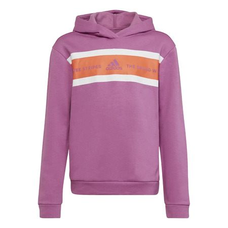 Adidas Girls Essentials Brand Love Warm Hoodie