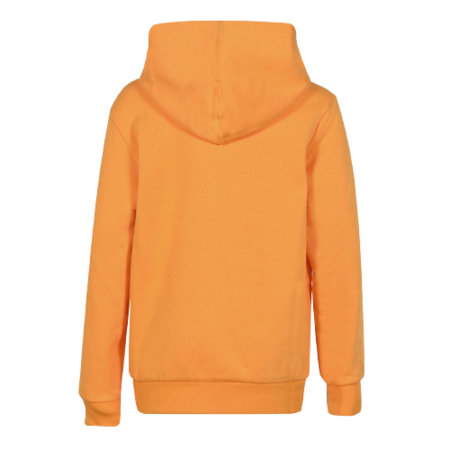 Champion Kids American Classic Fleece Hoodie "Yellow"