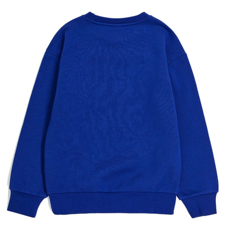 Champion Kids Basketball Logo Fleece Sweatshirt "Blue"