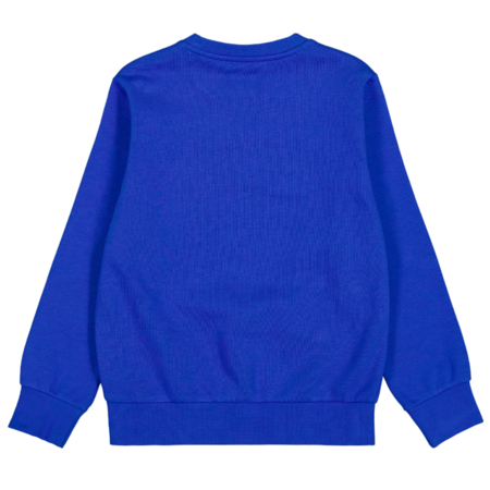 Champion Kids Big Logo Fleece Sweatshirt "Blue"