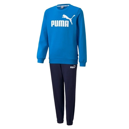 Puma Junior Essentials Logo Sweat Suit