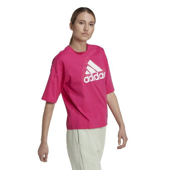 Adidas Essentials Multi-Colored Logo Loose Fit Cropped