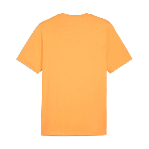 Camiseta Puma GRAPHICS Mountain "Clementine"