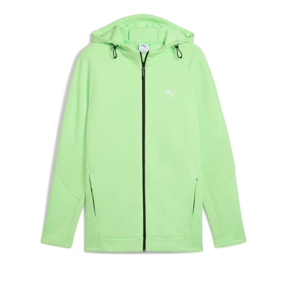 Puma EVOSTRIPE Full-Zip Hoodie DK "Spring Fern"