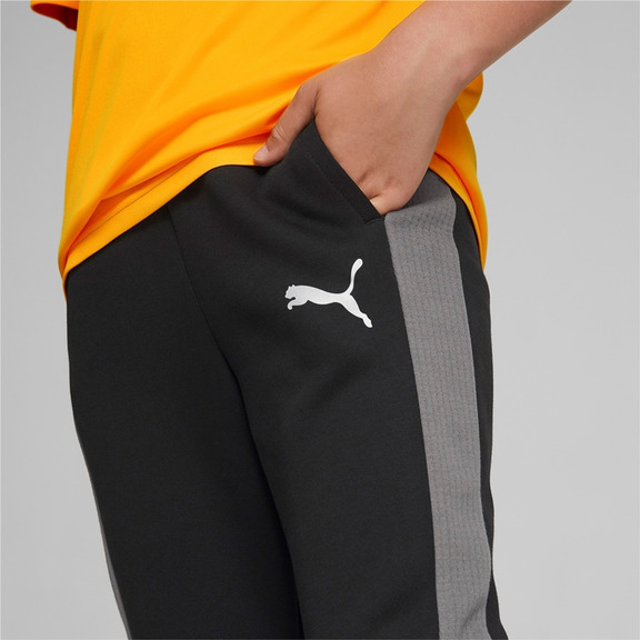 Puma Junior Evostripe Pants