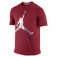 Jordan Camiseta Jumpman Air Tee (695/rojo/plata/negro)