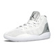 Jordan Reveal "White" (100)