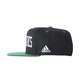 Adidas NBA Gorra Celtics (negro/verde/marrón)