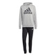 Adidas Big Logo Terry Tracksuit