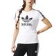 Adidas Originals Camiseta Superstar Trefoil "Berlinesa " (negro)