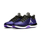 Air Jordan Trainer 1 Low "Concord Jimmy Butler"