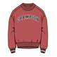 Champion Rochester Bookstore Heavy Fleece Sweatshirt "Red"