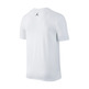 Jordan Camiseta Air Jordan 5 Toggle (100/white/metallic gold/black)