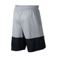 Jordan Rise Twenty-Three Shorts (012)