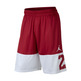 Jordan Rise Twenty-Three Shorts (687)