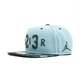 Jordan Seasonal Print Snapback (046/cannon/grove green)