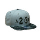 Jordan Seasonal Print Snapback (046/cannon/grove green)