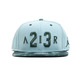 Jordan Seasonal Print Snapback (046/cannon/grove green)