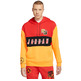 Jordan Sport DNA Po Hoodie "Colors"