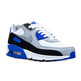 Nike Air Max 90 LTR (GS) "Smoke Grey"