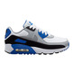 Nike Air Max 90 LTR (GS) "Smoke Grey"