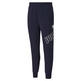 Puma Big Logo Pants FL