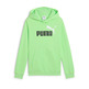 Puma ESS 2 COLOR No.1 Logo TR B"Spring Fern"