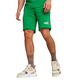 Puma ESS+ LOVE WINS Shorts "Meadow"