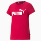 Puma Essentials Logo Tee