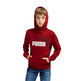 Puma Junior ESS+ 2 Col Big Logo Hoodie FL B "Intense Red"