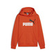 Puma Junior ESS+ 2 Col Big Logo Hoodie FL B "Redmazing"