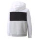 Puma Junior ESS+ Colorblock Hoodie