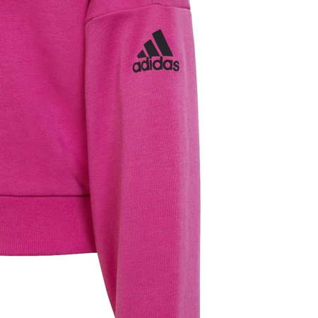 Adidas Girls ARKD3 Crop Hoodie