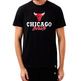 New Era NBA Chicago Bulls Script Logo # 23 JORDAN #