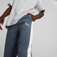 Puma Evostripe Pants