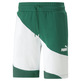 PUMA POWER Cat Shorts 9" TR